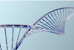 cover of Genetic factors cover of Genetic factors